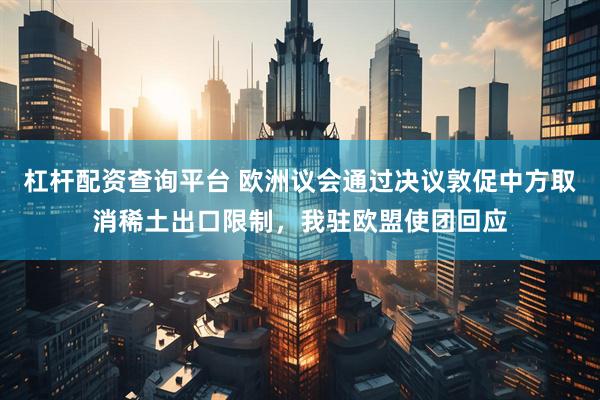 杠杆配资查询平台 欧洲议会通过决议敦促中方取消稀土出口限制，我驻欧盟使团回应