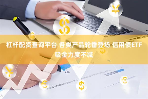 杠杆配资查询平台 各类产品轮番登场 信用债ETF吸金力度不减